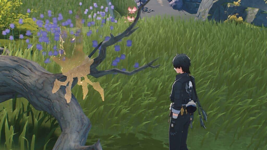 Wuthering Waves Echoes