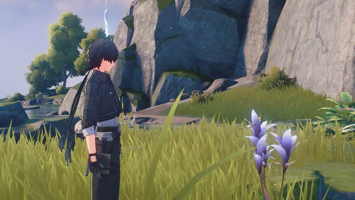 Tips to Progress Fast Wuthering Waves materials