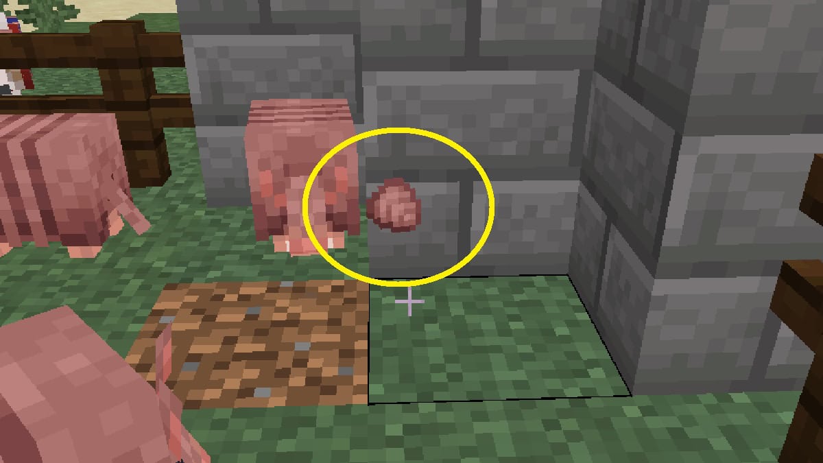 armadillo scute, used for crafting wolf armor