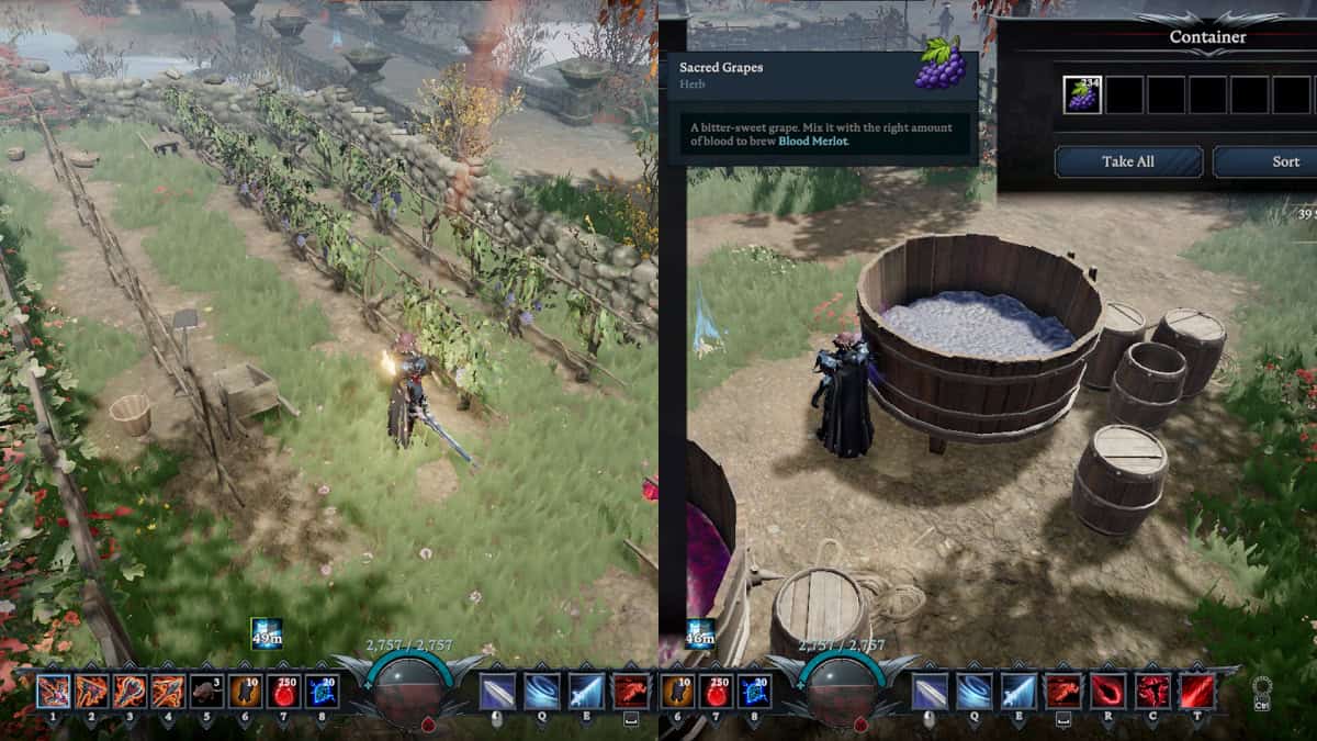 harvesting sacred grapes from nodes and containers in v rising