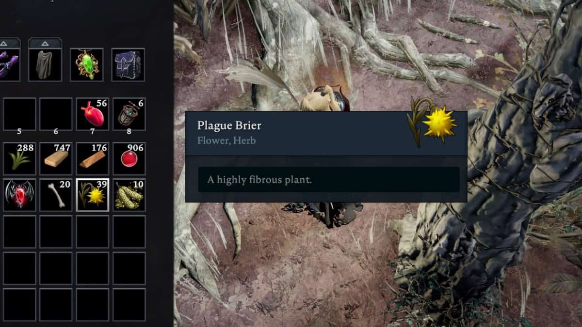 V Rising plague brier image