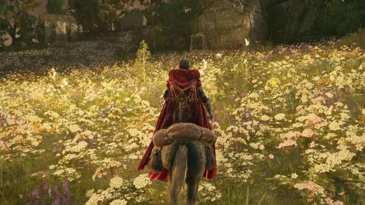 The Shaman Village tells the story of Marika in Elden Ring.