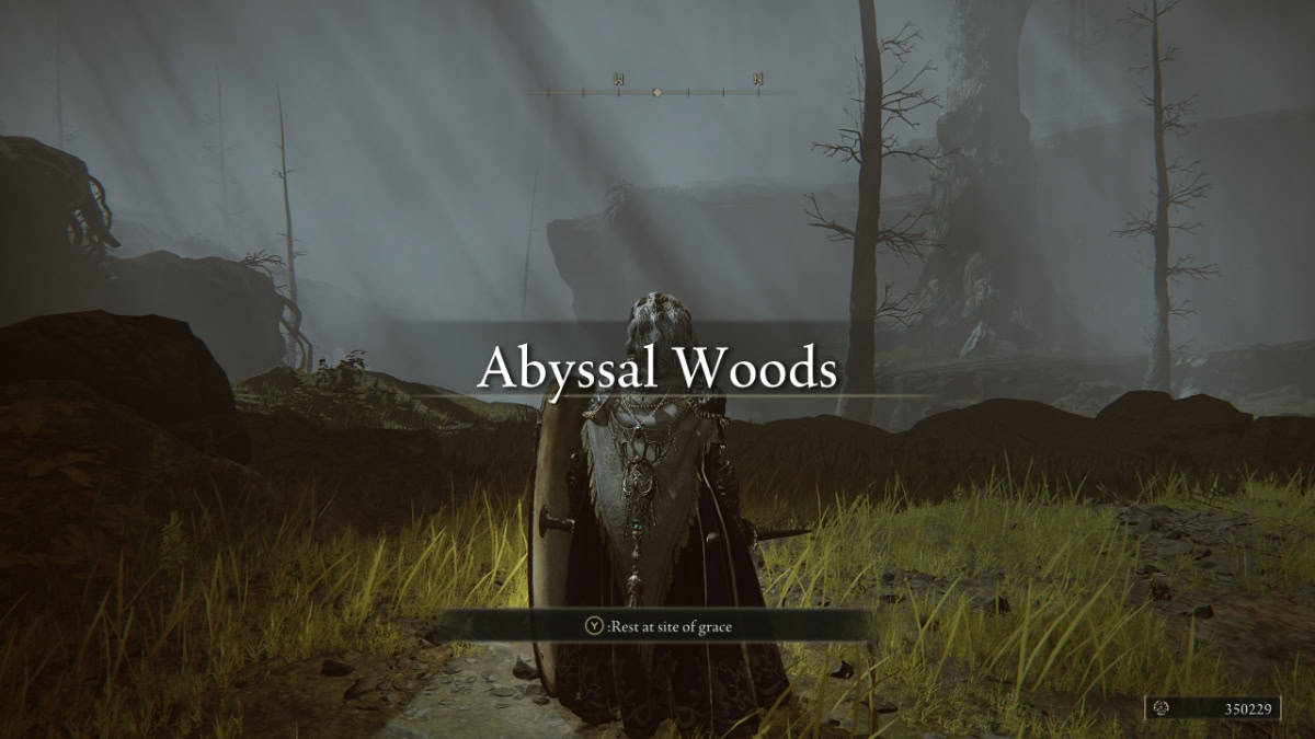 Elden Ring Abyssal Woods guide image
