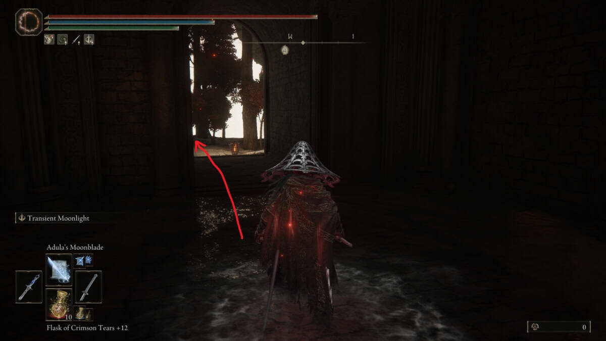 Elden Ring dragonloard placidusax tips