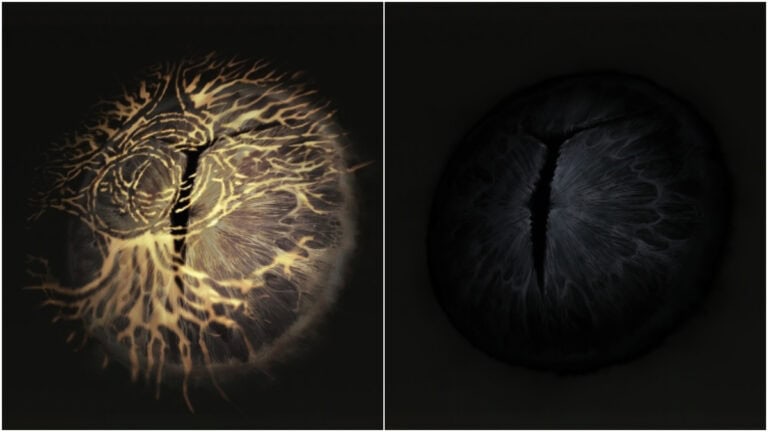 How to Get & Use Iris of Grace & Iris of Occultation in Elden Ring Shadow of the Erdtree elden ring iris