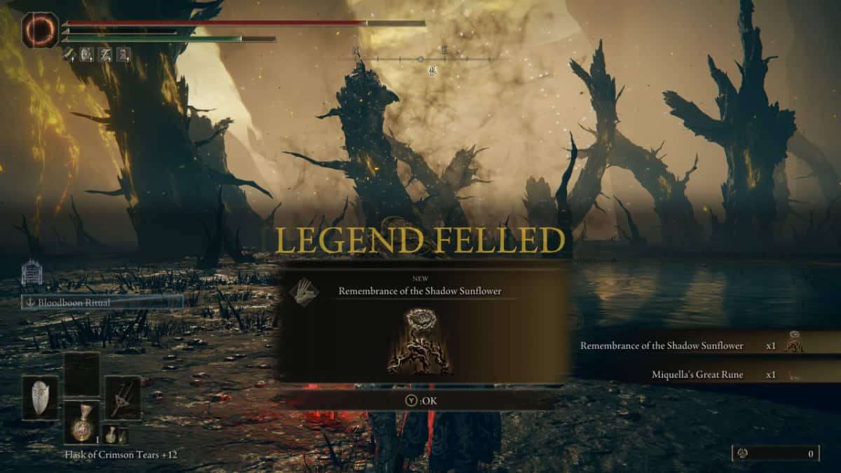 Elden Ring Scadutree Avatar image fight