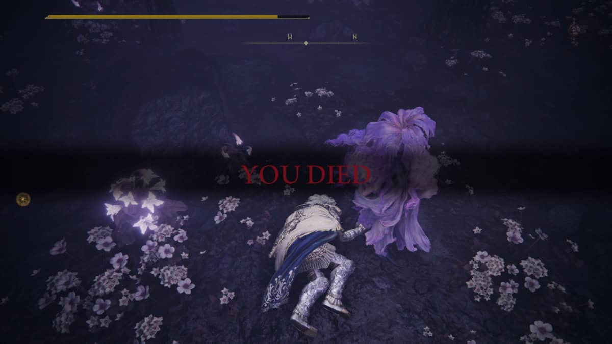 Elden Ring St. Trina questline guide image