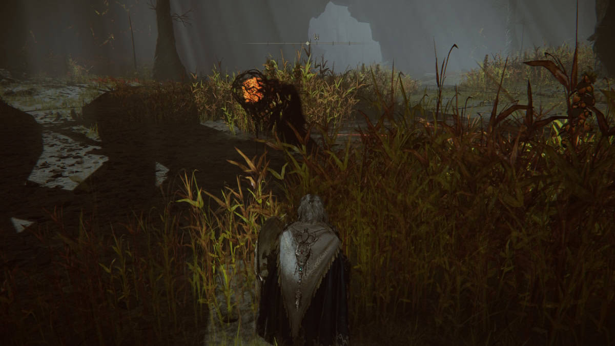 Elden Ring Abyssal Woods guide image