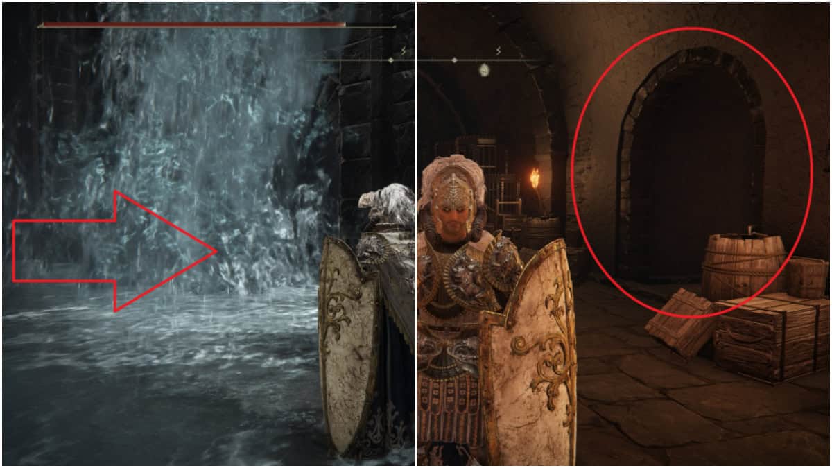 Elden Ring Abyssal Woods guide image