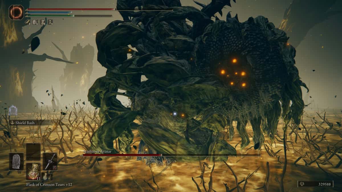 Elden Ring Scadutree Avatar image fight