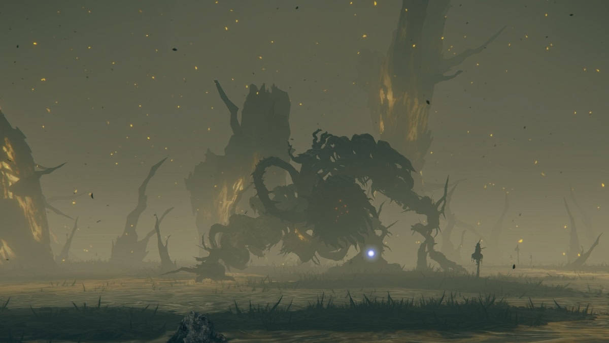 Elden Ring Scadutree Avatar image fight