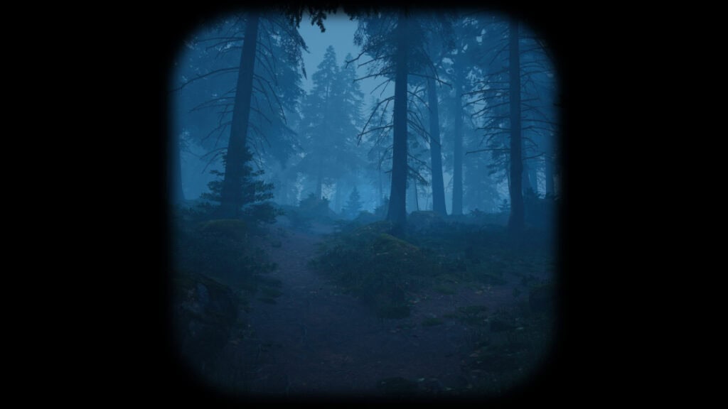 A forest of the forest with blue light coming through the fog in Nowhere