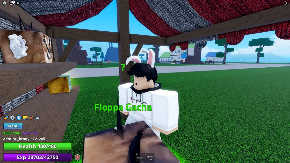 meme sea rabbit race