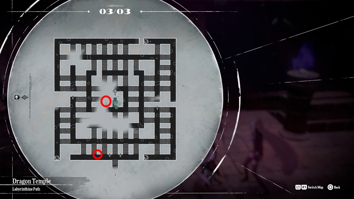 Polar Stones Labyrinthine Path