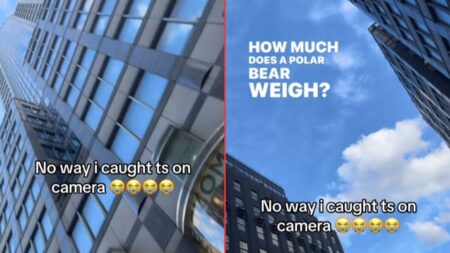 New York Woman Gets Randomly Rizzed in Viral Video: ‘Why This Sound Like a GTA Conversation’ New York Woman Gets Randomly Rizzed in Viral Video: 'Why This Sound Like a GTA Conversation'