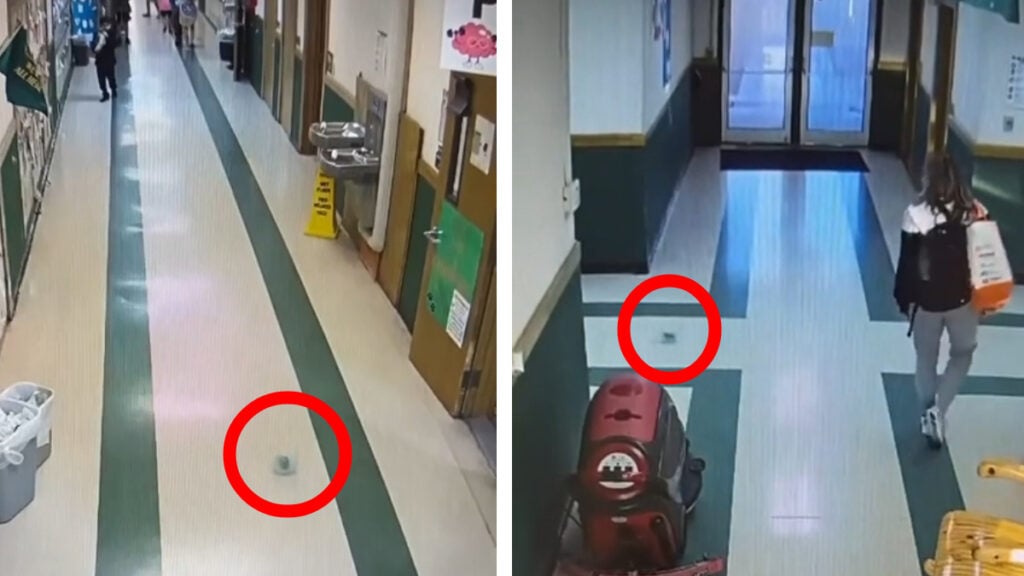 School Hamster Rolls Away From the Status Quo, ‘Someday I Too Will Escape’ School Hamster Escape