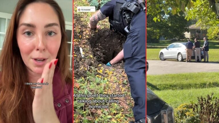 The Internet Follows Woman Digging Unknown Rug Out Of Her Backyard: ‘I Just Found This Ten Minutes Ago And I’m Already Invested’ The Internet Follows Woman Digging Unknown Rug Out Of Her Backyard 'I Just Found This Ten Minutes Ago And I'm Already Invested'