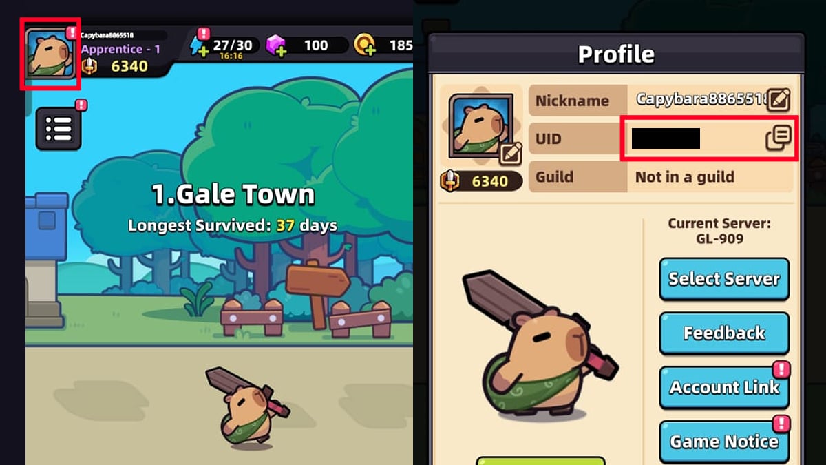 How To Redeem new codes in Capybara Go