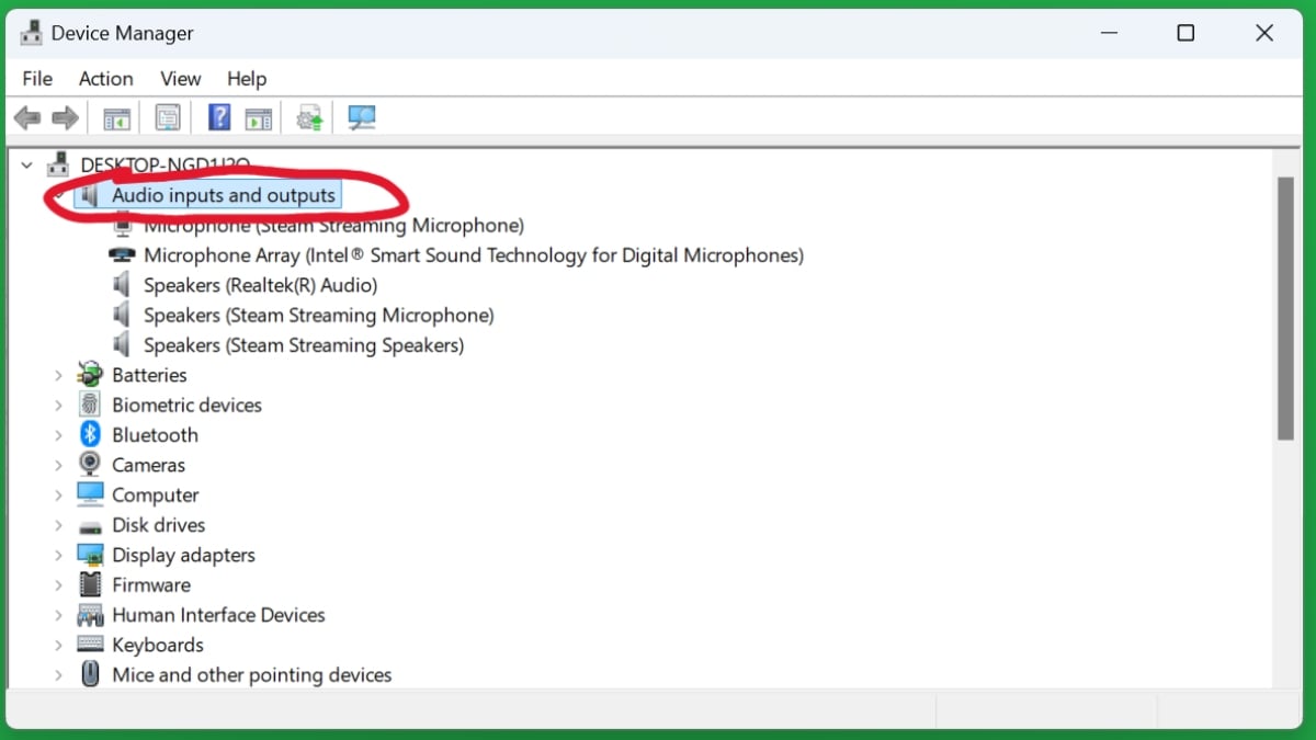 The Input and Output area in the Windows Device Manager