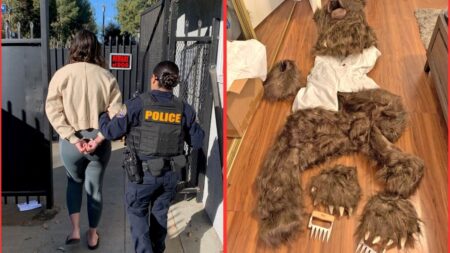 Four Suspects Who Reportedly Wore a Bear Costume to Pull off an Elaborate Insurance Scam Have Been Arrested in LA Four Suspects Who Reportedly Wore a Bear Costume to Pull off an Elaborate Insurance Scam Have Been Arrested in LA