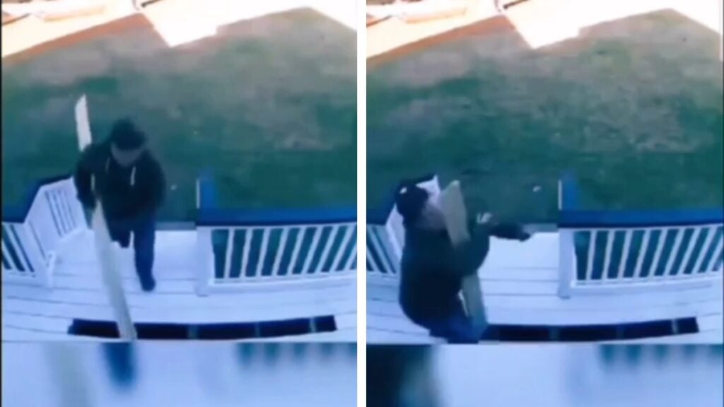 Man Discovers That Reality Surpasses Fiction From Self Experience ‘Straight Out of Looney Tunes’ Reddit Looney Tunes man