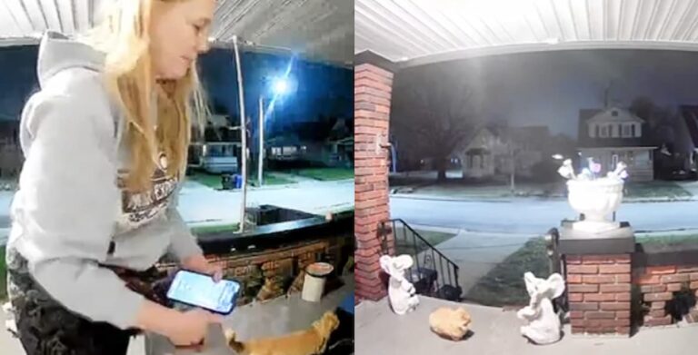 Outrage as DoorDash Delivery Driver Caught Stealing Cat on Camera: ‘I Would Go Straight Liam Neeson’ doordash cat theif