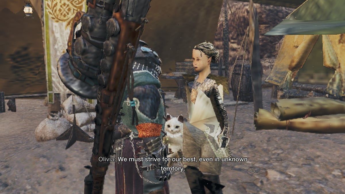 Like a Rathalos Flying Too High to the Sky