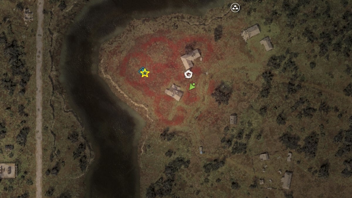 STALKER 2 poppy field quest