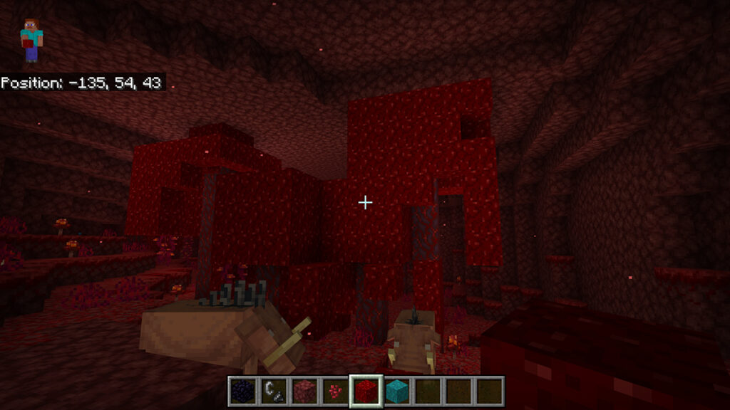 The Best Place To Find Wart Blocks in Minecraft