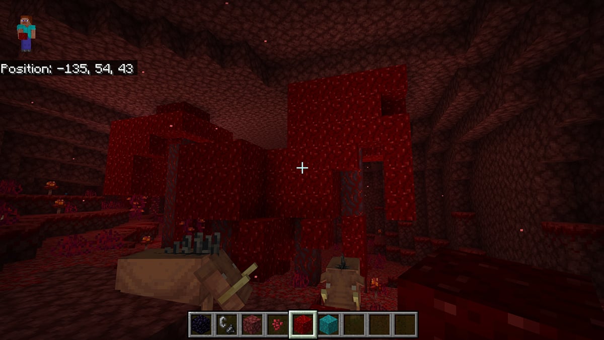 The Best Place To Find Wart Blocks in Minecraft