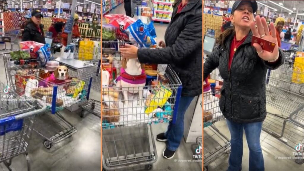 Man Confronts Woman At Supermarket About Non-Service Dog Inside Cart: ‘Finally Somebody Said Something!!!’ Man Confronts Woman At Supermarket About Non-Service Dog Inside Cart 'Finally Somebody Said Something!!!'