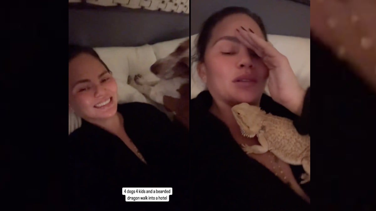 Chrissy Teigen surrounded by her pets in a hotel after evacuating Los Angeles mansion.