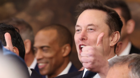 Elon Musk Doing Thumbs Up at the US Capitol