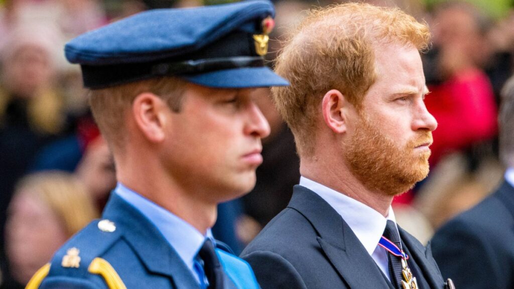Prince William and Prince Harry at the funeral of the late royal family monarch Queen Elizabeth II.