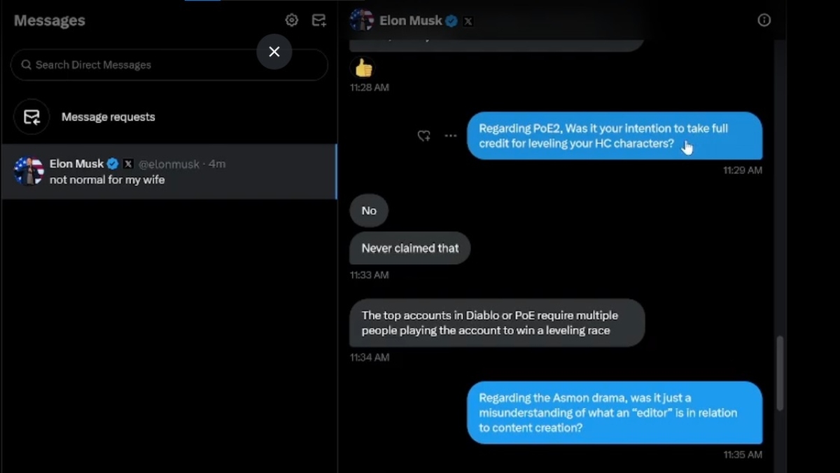 Elon Musk cheat
