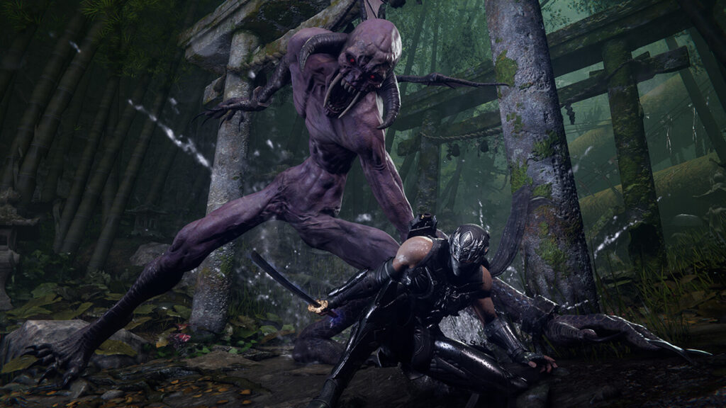 Ninja Gaiden 4 Won’t Have Soulslike ‘Dodge Roll’ Mechanics, Will Have the ‘Deepest Combat’ in the Series Ninja Gaiden 4 Won't Have Soulslike 'Dodge Roll' Mechanics, Will Have the 'Deepest Combat' in the Series