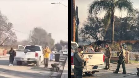 Los Angeles Woman Steal Emmy Award