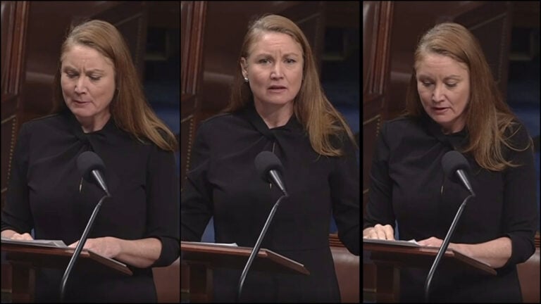 New Mexico Representative Melanie Stansbury Slams Elon Musk and Donald Trump in Viral Clip of D.C. Speech: ‘What Is Happening in This Country Right Now Is Not Normal’ New Mexico Rep. Melanie Stansbury delivers a speech to congress, calling out the illegal actions of Donald Trump and Elon Musk