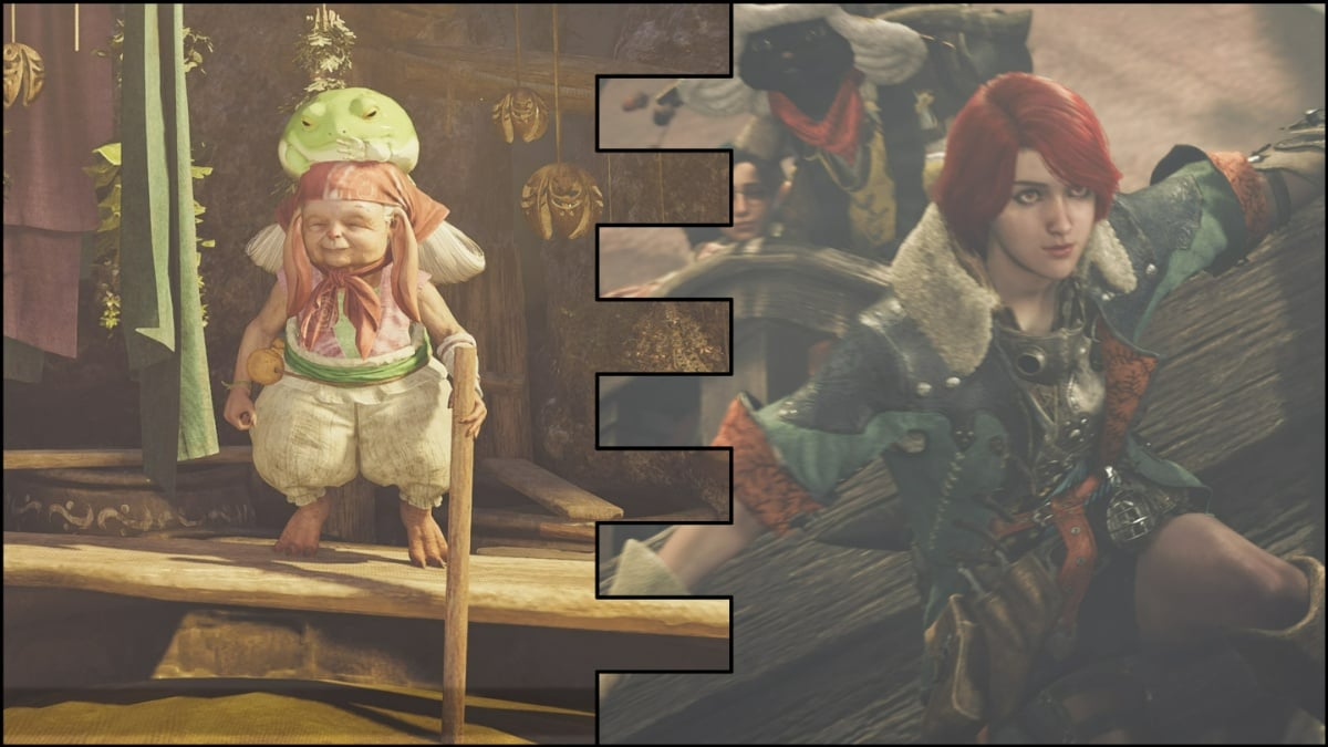 Two Monster Hunter wilds characters, the scenes stitched together along the center