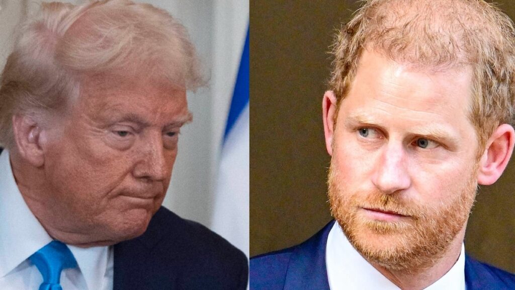 Donald Trump Sows Discord Between William and Harry in Bitter-Sweet Revenge: ‘He’s Got Enough Problems’ Prince Harry and Donald Trump photo merge
