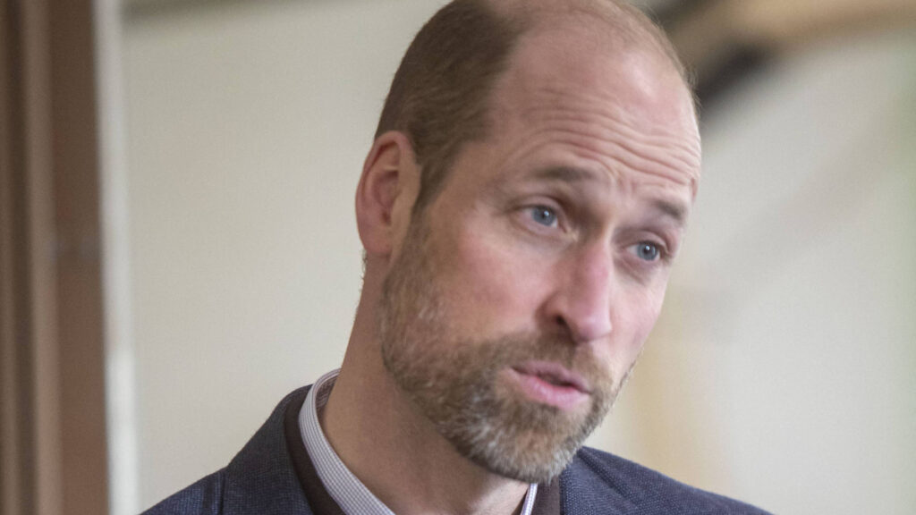 Prince William’s Big Plans for Harry, His Kids and Britain Exposed: ‘None of That Can Ever Be Taken Away’ Prince William, the prince of Wales.