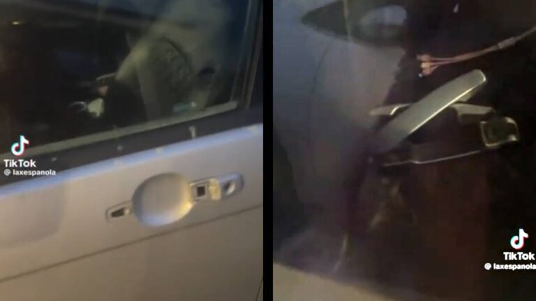 Seattle Woman Car Handles