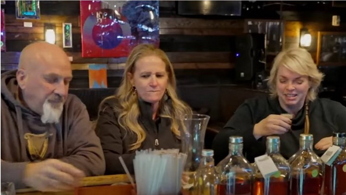 Sister Wives: David Woolley - Christine Brown- Janelle Brown