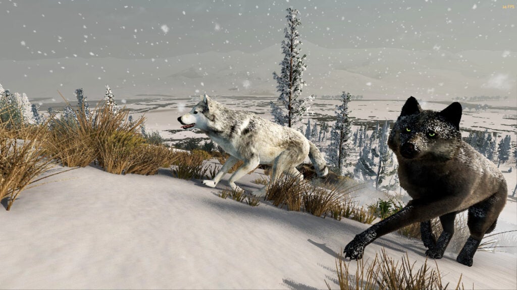 Two wolves, one black and one white, prowl through the snow in WolfQuest