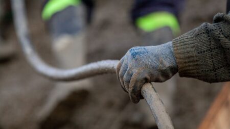 A young worker on the field
