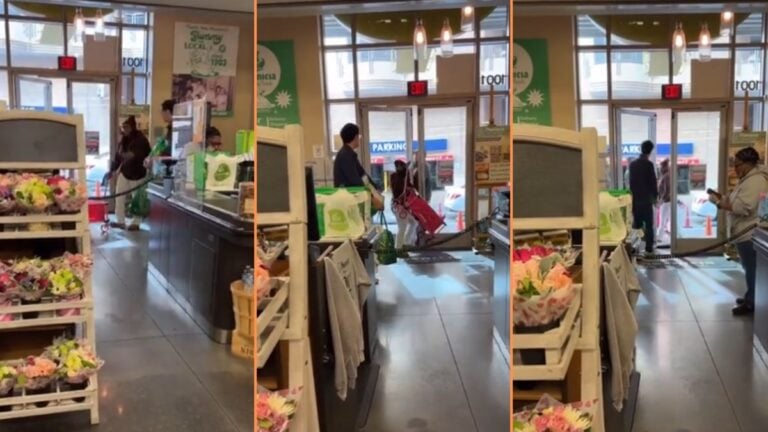 Houston Karen Gets Kicked Out of Grocery Store for Shoplifting: ‘No Shame Whatsoever’ Houston Karen Gets Kicked Out of Grocery Store for Shoplifting 'No Shame Whatsoever'