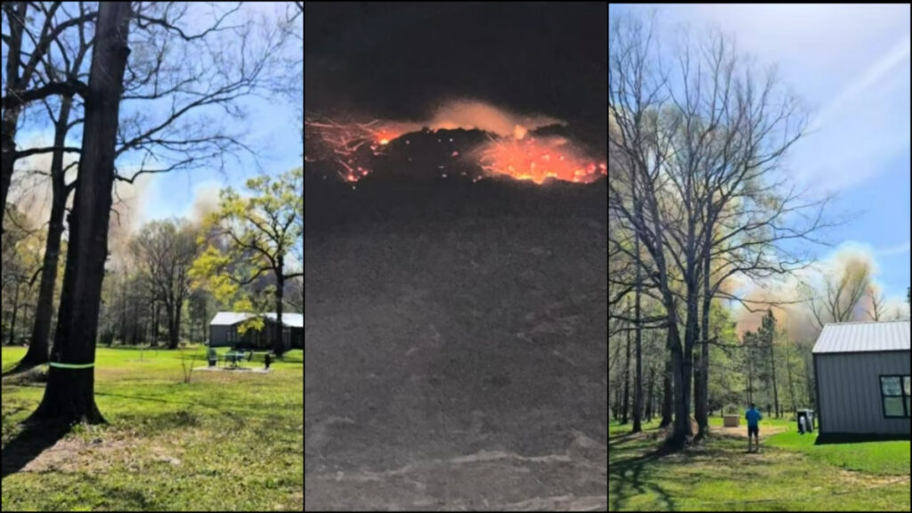 Pauline Road Fire Spreads To 2,388 Acres in Texas: ‘Praying for Y’all’ Shots of the Pauline Road Fire in Texas burning near a rural home during the day and at night