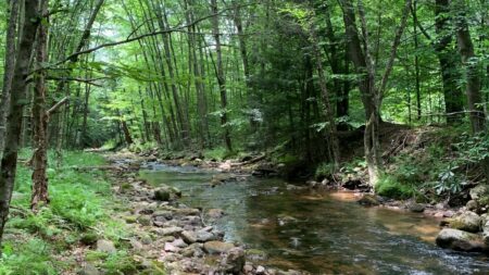 DOGE Closes Over 425 PA Campsites Including Seven Points and Susquehannock: ‘This is Gonna Hurt Those Areas Hard’