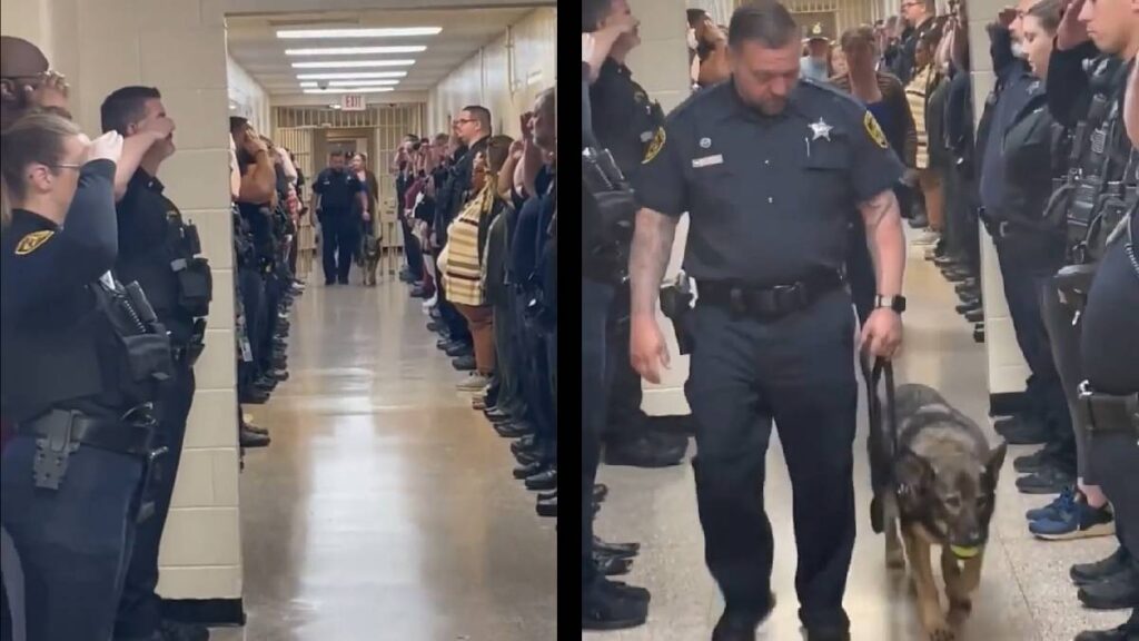 A Veteran Police K9 in Virginia Makes Her Walkout Along Her Team After Being Diagnosed With Cancer: ‘She Was Holding Her Tennis Ball 😒 Police K9 Walkout Cancer