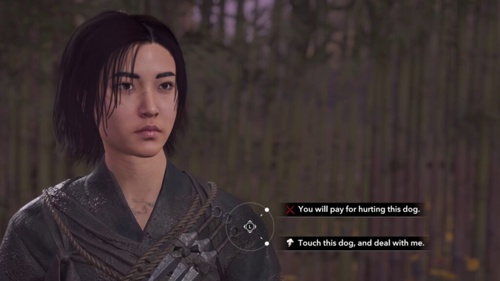 Dialog options in AC Shadows